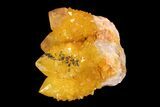 Sunshine Cactus Quartz Crystal - South Africa #93686-1